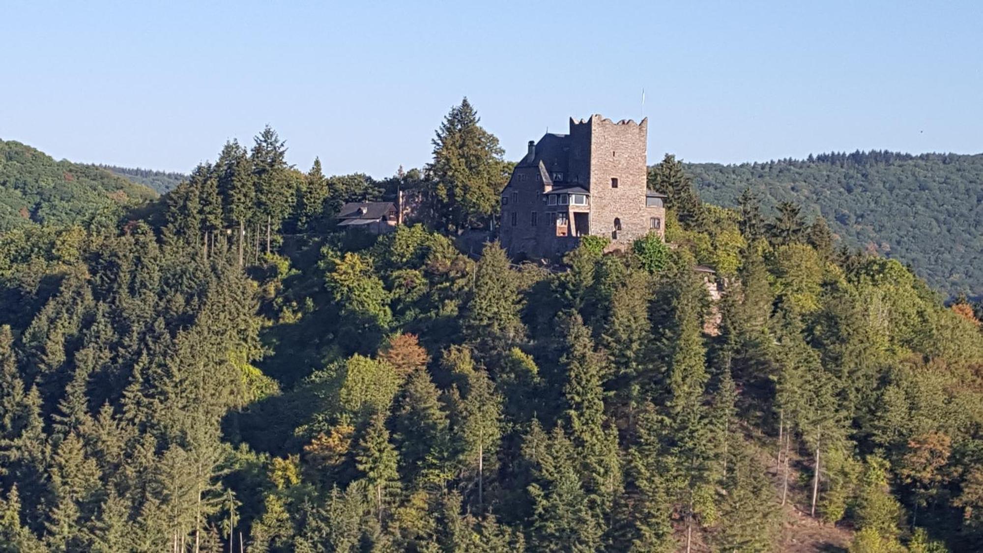Ferienwohnung Sternenwald 알프 외부 사진